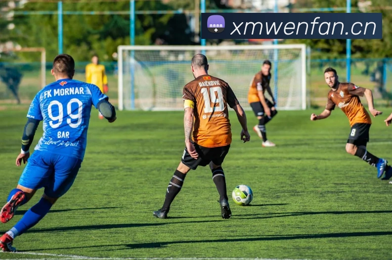 必一运动网页服务体系